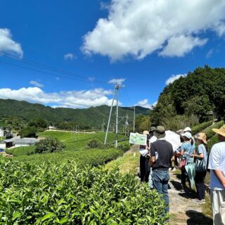 「茶畑ガイド講習」と「お茶の石けんづくりインストラクター養成講習」を実施しました！