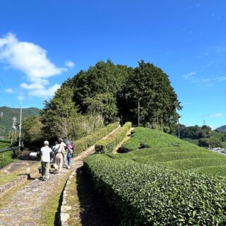 京都きづ川アクティビティキャンペーン2024～なぞ解き茶畑ウォーキングと石けんづくり体験～を実施しました。